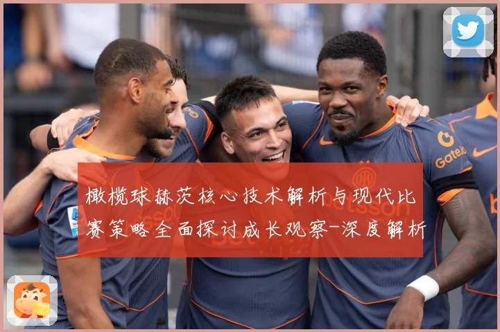 橄榄球赫茨核心技术解析与现代比赛策略全面探讨成长观察-深度解析