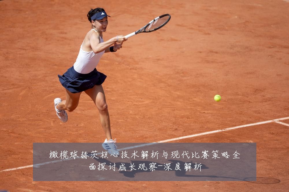 橄榄球赫茨核心技术解析与现代比赛策略全面探讨成长观察-深度解析